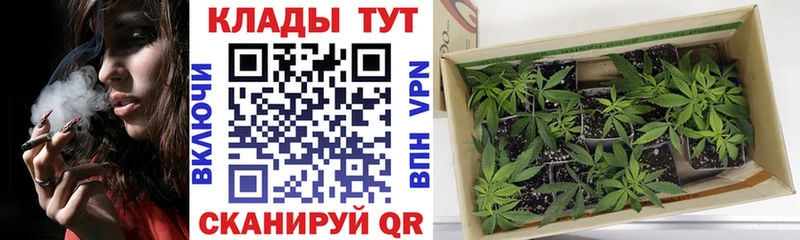Как найти наркотики Кимовск ГАШ АМФ Кокаин МЕФ Марихуана