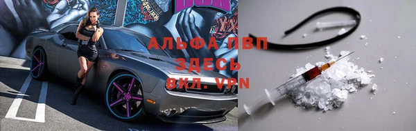 дмт Абаза