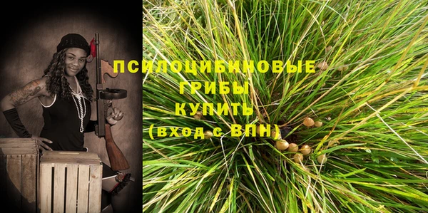 дмт Абаза