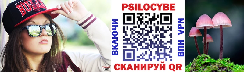 Галлюциногенные грибы Magic Shrooms купить цена Кимовск